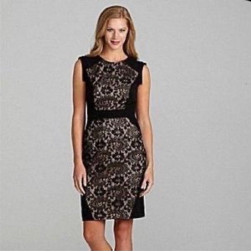 Adrianna Papel sheath dress with lace nude silhouette illusion (8P)